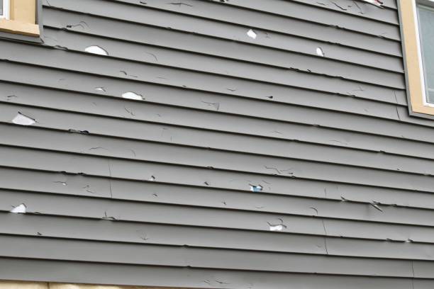 Best James Hardie Siding  in Douglasville, GA