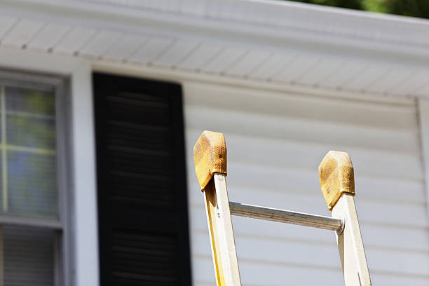 Best Historical Building Siding Restoration  in Douglasville, GA